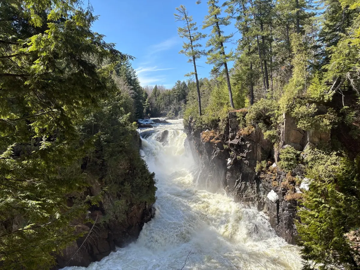 Cascade au cœur de la forêt de Rawdon